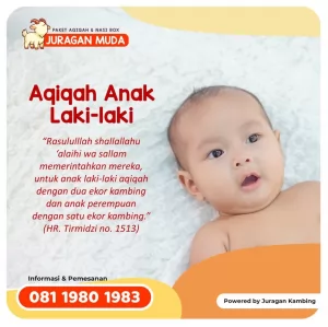 panduan dan waktu aqiqah laki laki